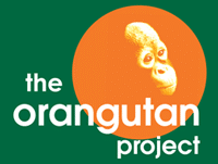 The Orangutan Project