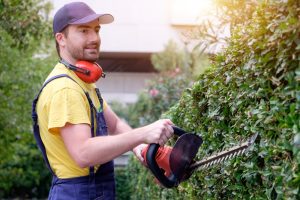 Business Loans Banner - Gardener smiling while trimming a hedge