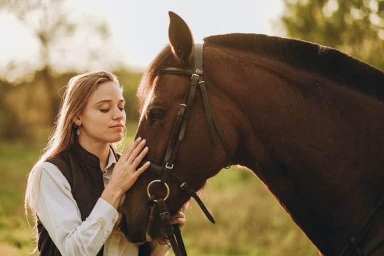 Horse Pet Insurance Equine Cover and Features Savvy