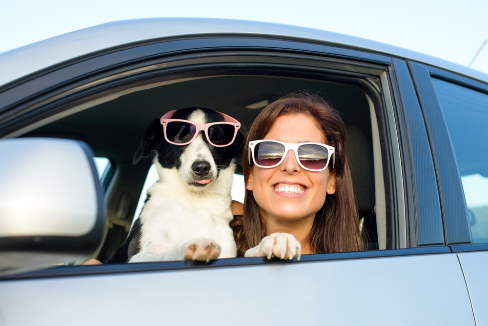 Pet Insurance Banner - Woman sitting in the car smiling with her dog, both wearing sunglasses