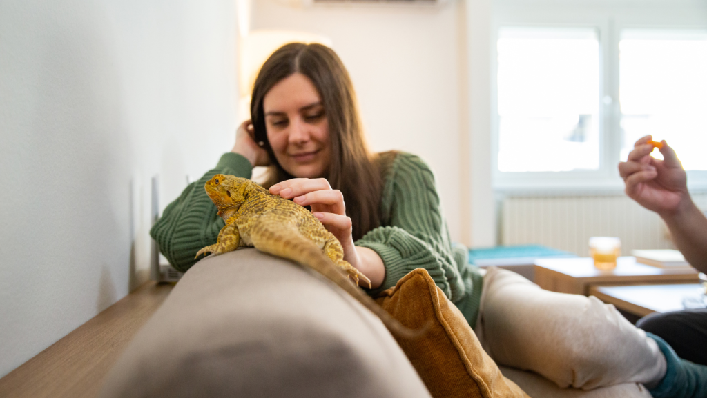 Woman on sofa with her exotic pet lizard